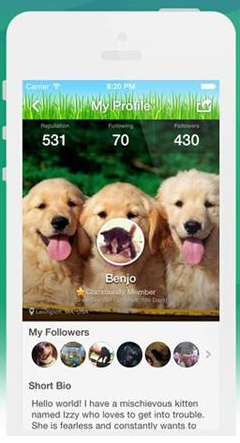 興趣社交 網(wǎng)絡(luò)社交 微群組