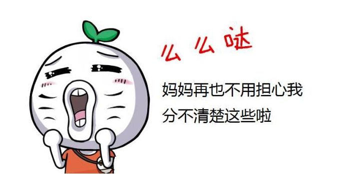 合肥瘋狗科技:網(wǎng)站SEO優(yōu)化的幾個實用技巧