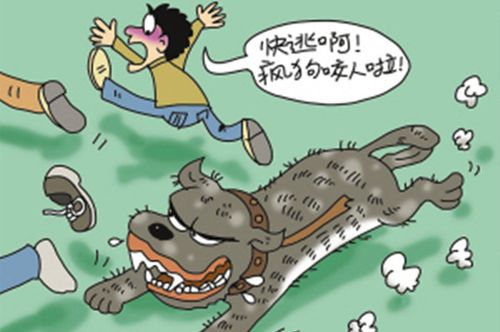 網(wǎng)站收錄在網(wǎng)站優(yōu)化中起到什么作用？