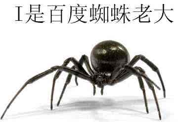 合肥網(wǎng)站優(yōu)化教程:基于搜索引擎友好的網(wǎng)站結(jié)構(gòu)優(yōu)化