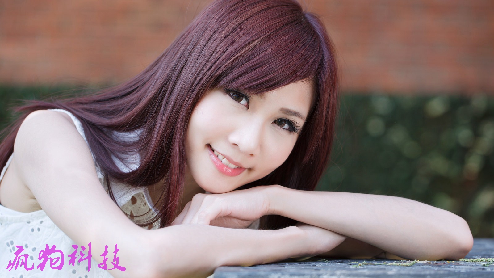 帶你走進(jìn)“系統(tǒng)化的SEO優(yōu)化”的世界