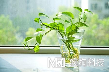 商城網(wǎng)站的開發(fā)有哪些要求