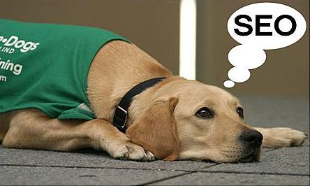 哪些類(lèi)型的改動(dòng)會(huì)影響到網(wǎng)站的seo?