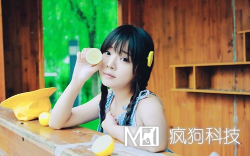 SEO與SEM如何作抉擇？