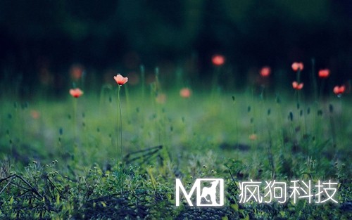 如何提高網(wǎng)站粘度，增加網(wǎng)站回頭客？