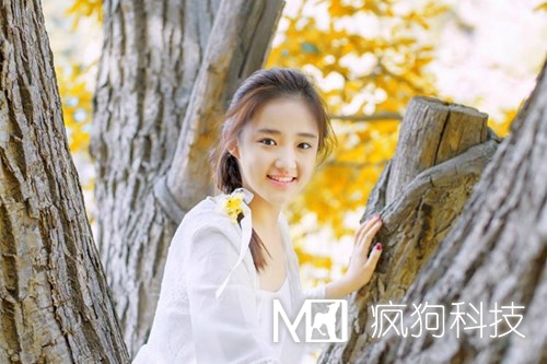 網站優(yōu)化中的死鏈是如何產生的?