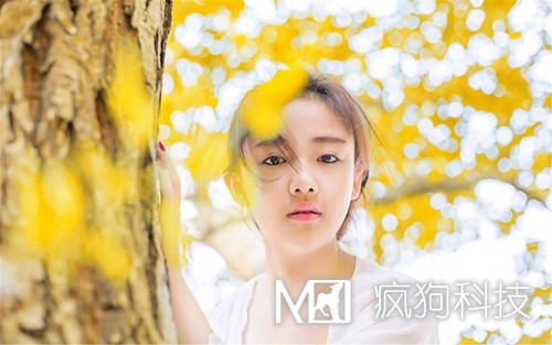 15個最佳外鏈建設(shè)技巧!