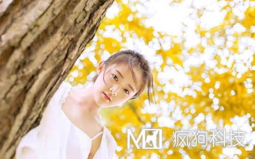 收藏:快速頁面收錄的六大絕技!