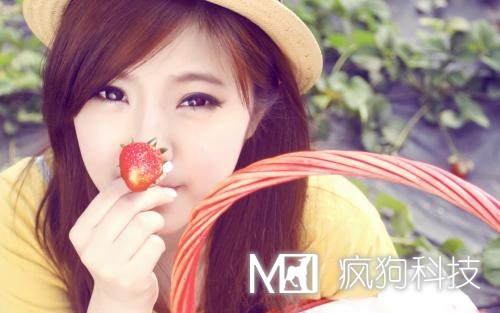 瘋狗做網(wǎng)站